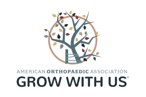American Orthopaedic Association
